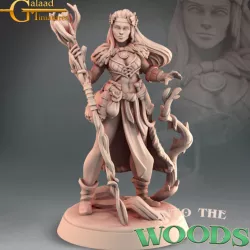 $4.00Triss - Druid Female