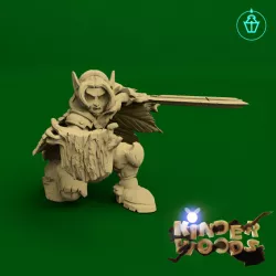 $4.00Wood Elf Fighter