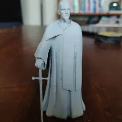 $4.99Tiber Septim (pre supported)