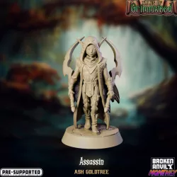 $5.00Tales of Grimmwood- Fairy Assassin