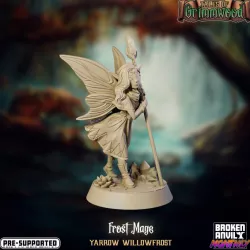 $5.00Tales of Grimmwood- Fairy Frost Mage