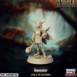 $5.00Tales of Grimmwood- Fairy Geomancer