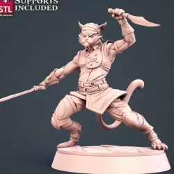 $5.00Warrior Tabaxi