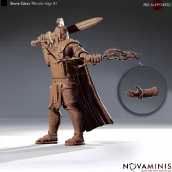 $6.00Storm Giant Warrior-Sage 01