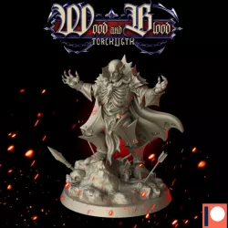 $7.00Torchlight "Vampire lord"