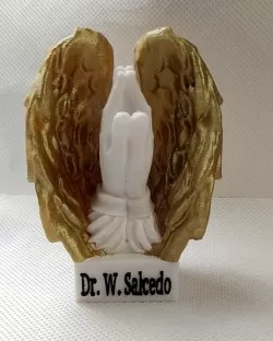 Angel Hands