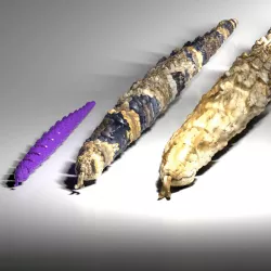 ARTICULATED SNAKE AND RATTLESNAKE