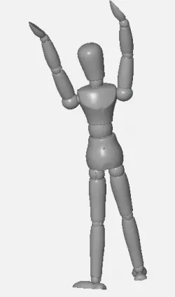 Artist model mannequin