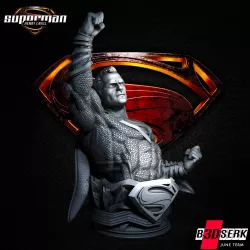 B3DSERK June Term: Superman Bust 1/4 ready for printing