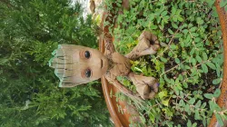 Baby Groot waving