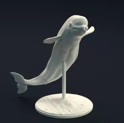 Beluga Whale