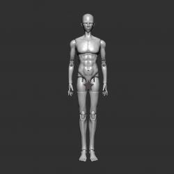 BJD Doll male, bjd 3d model, bjd for 3d printing, print 3d bjd, bjd 3d print