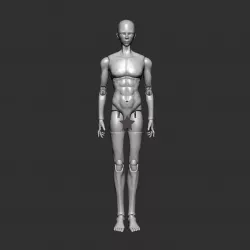 BJD Doll male, bjd 3d model, bjd for 3d printing, print 3d bjd, bjd 3d print