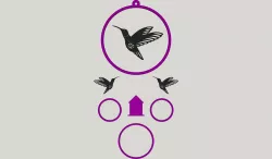 hummingbird dream catcher
