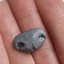 Teddy bear nose