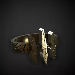 The witcher Ring