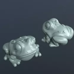 Tiny Frog