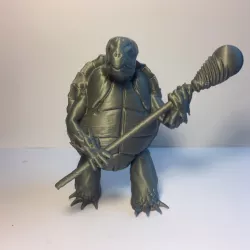Tortle Wizard for Tabletop RPG Fantasy Games