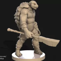 Turtle