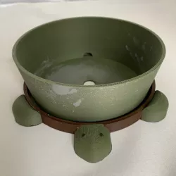 Turtle Pot