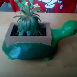 turtle pot