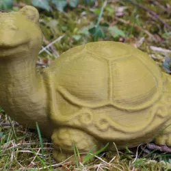 Turtle (Schildkröte)