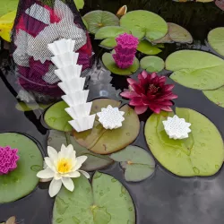 Water Lilly Pond Filter Media