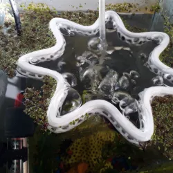 Wave breaker for aquarium