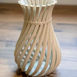 Weird Twisty Vase