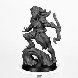 Wood Elf Ranger