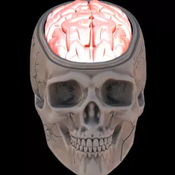 Brain (Halloween)