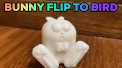 Bunny or Bird