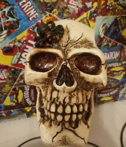 CALAVERA SPRING