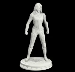 Carol Danvers Captain Marvel