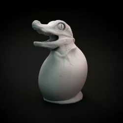 Cayman hatchling