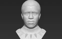 Chad Boseman Black Panther bust 3D printing ready stl obj formats
