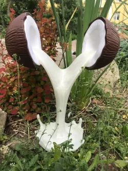 coconut