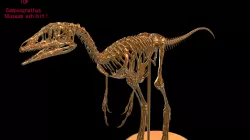 Compsognathus