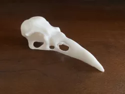 Crow Skull - Upper