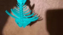 devil monster fish