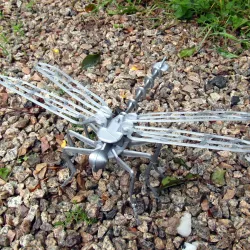 Dragonfly 3D Puzzle