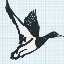 Duck in flight