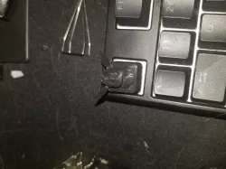 Eevee Keycap 3d print