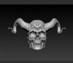 Evil Skull Recipient
