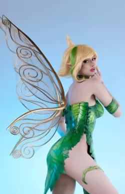 fairy/tinker bell wings