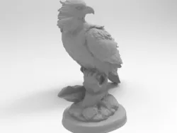 Falcon