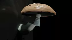 Fictional original mushroom