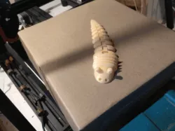 flat  slug