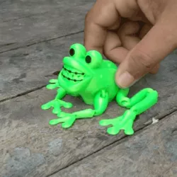 flexi print  happy frog