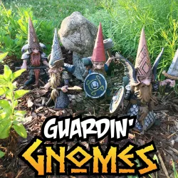 Guardin' Gnomes